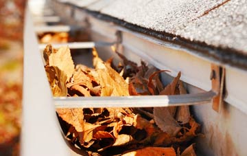 Ferndown gutter cleaning companies