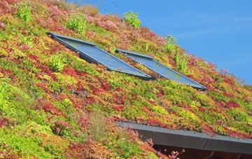 Ferndown living roof systems